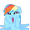 dash-squee